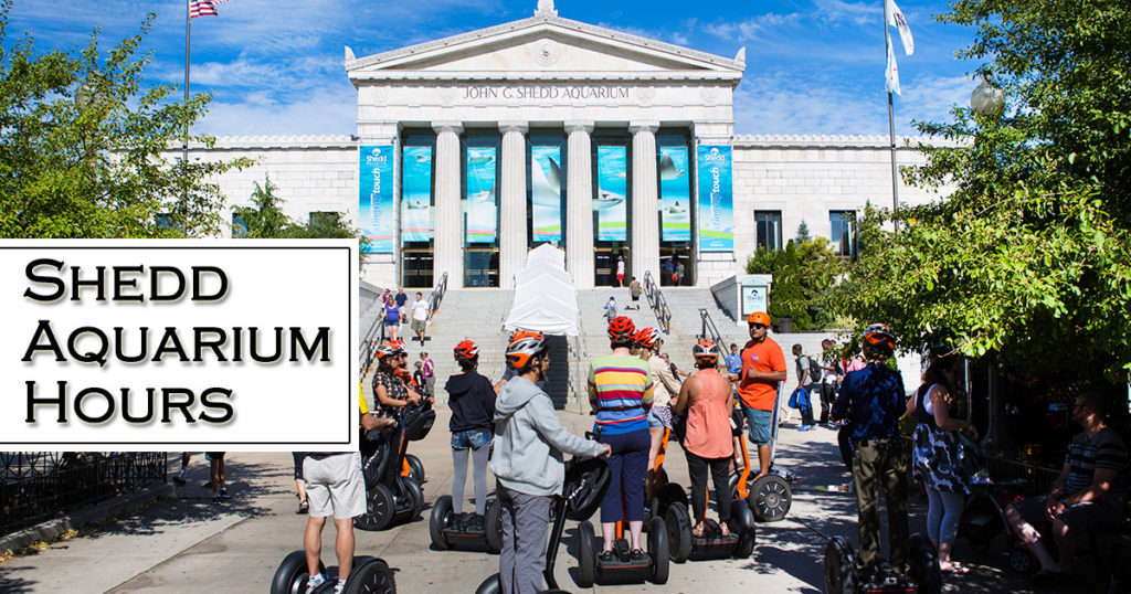 Shedd Aquarium Hours of Operation Holiday Hours, Near Me Locations