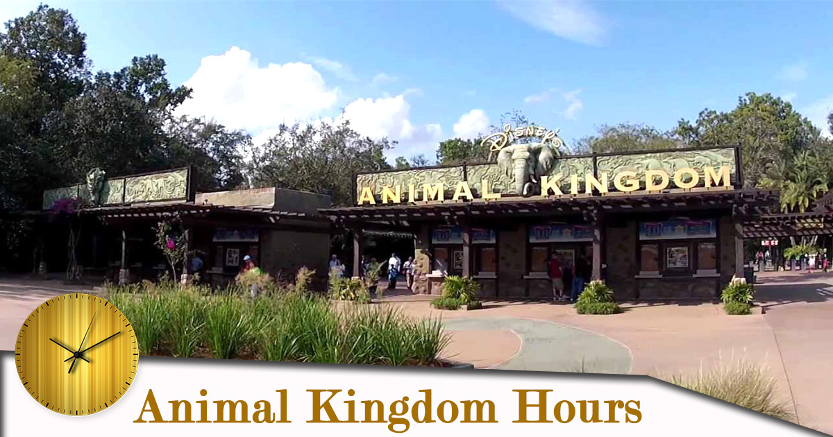 animal kingdom hours