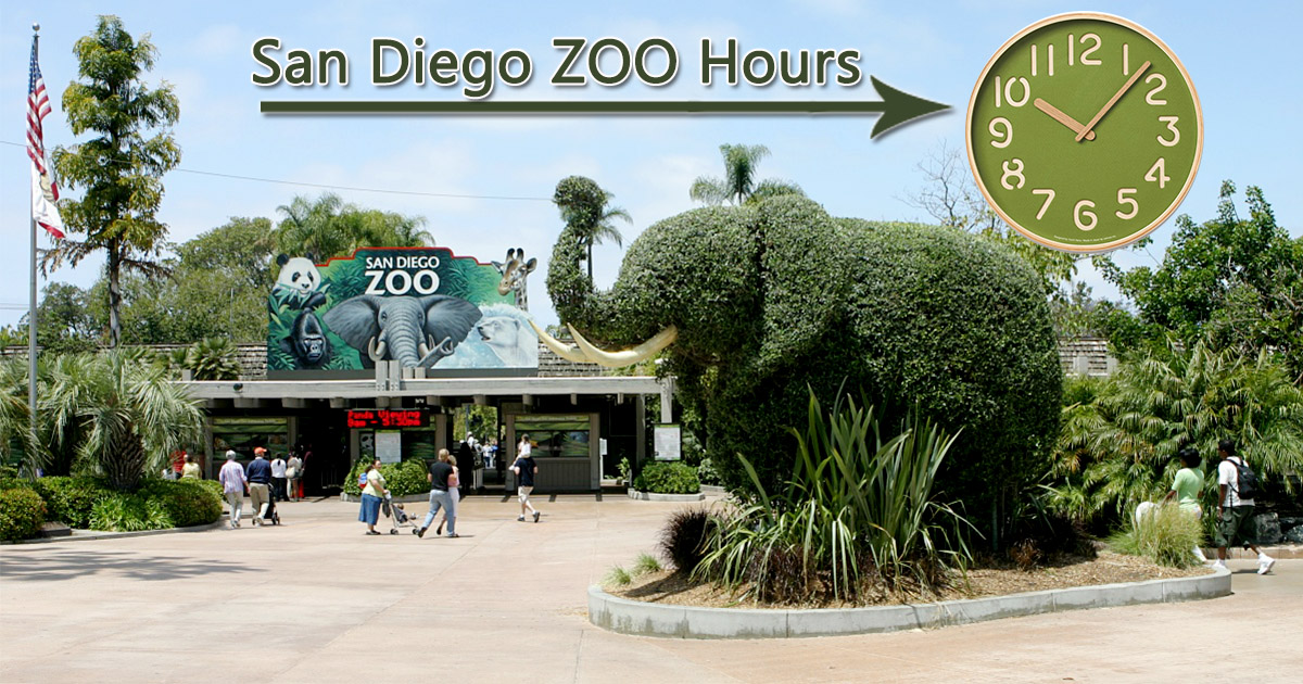 San Diego Zoo Hours Near Me Open/Closed Summer, Holiday Hours